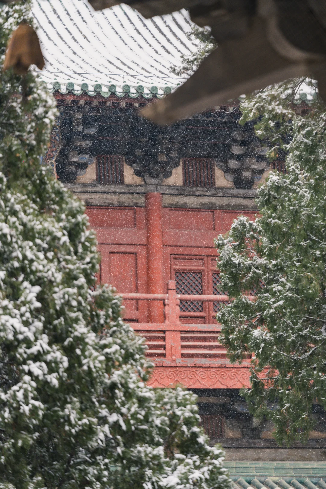 石家庄初雪，赴隆兴寺之约❄️