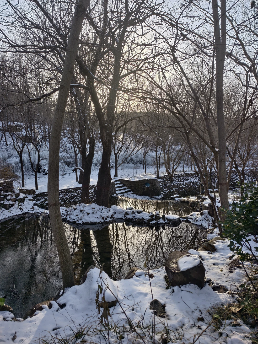 30分钟车程 石家庄的雪景真的震撼我