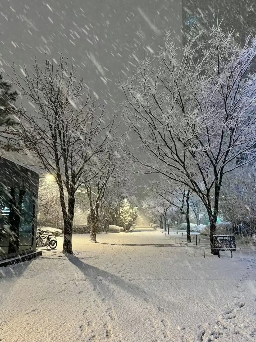石家庄初雪❄️