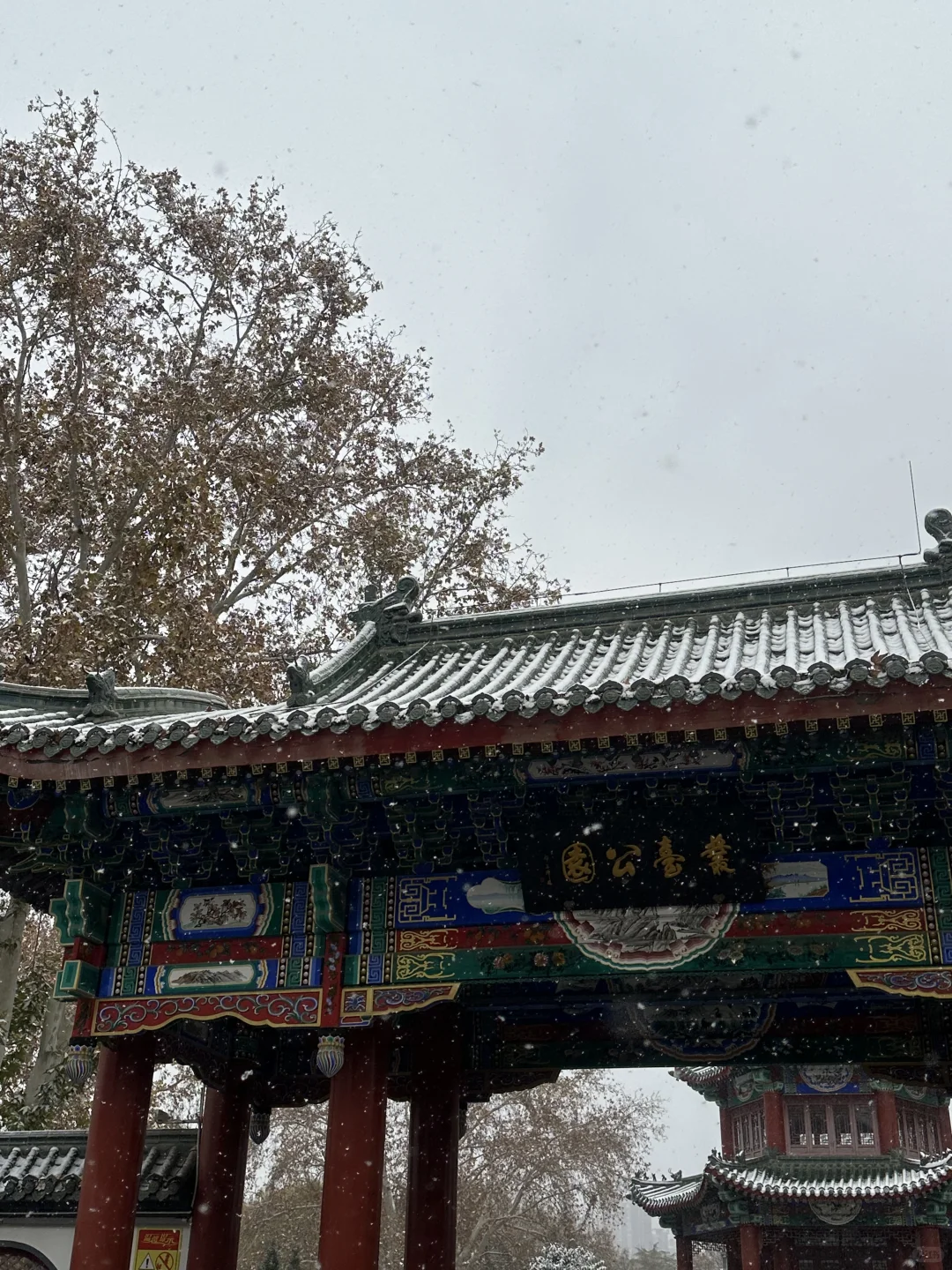 12月2日实况！！邯郸的大雪好美！！！