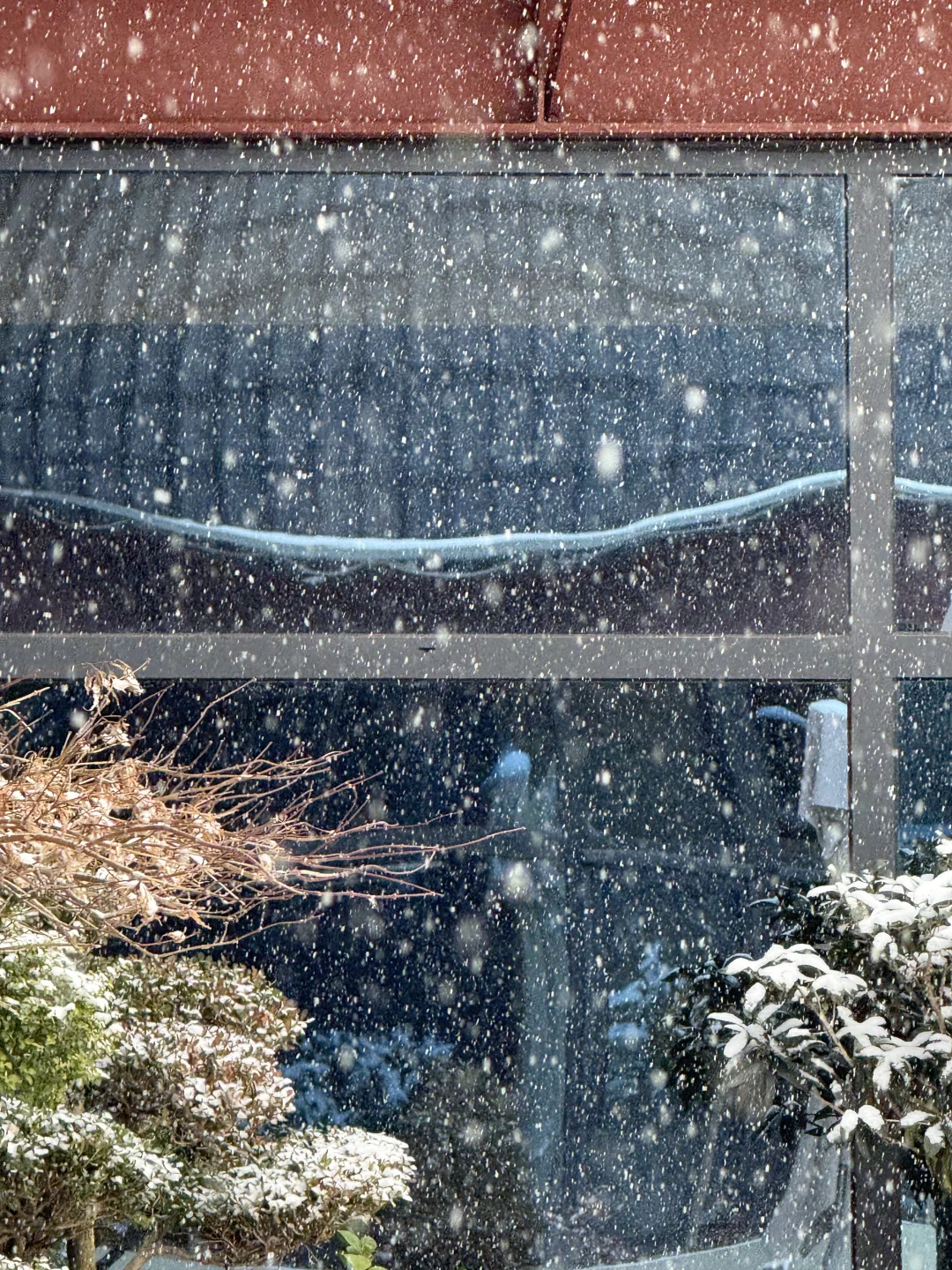 石家庄暴雪！已经下了！我将拥护带老师！