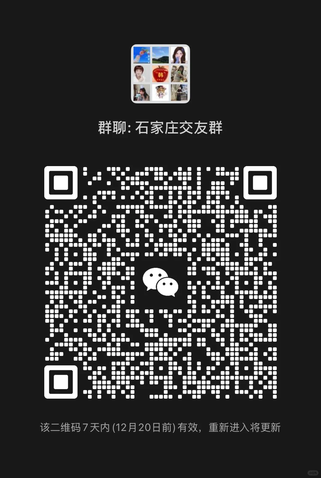 石家庄交友达子征婚相亲群