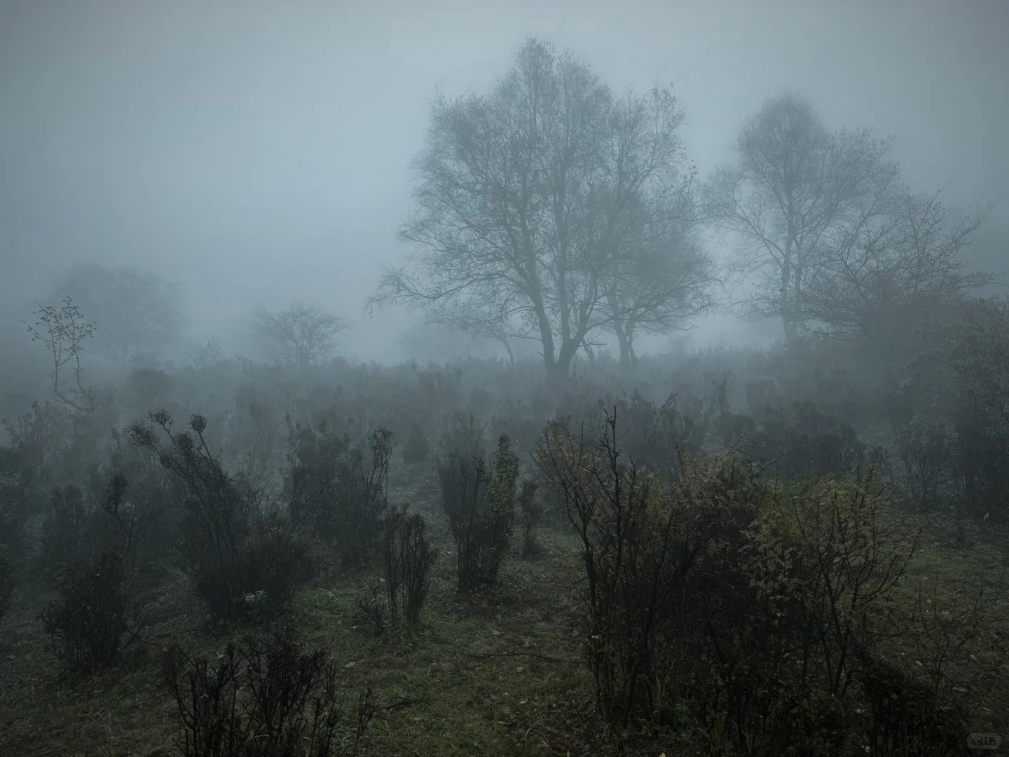 ⛰️邢台周边有自己的哀牢山...
