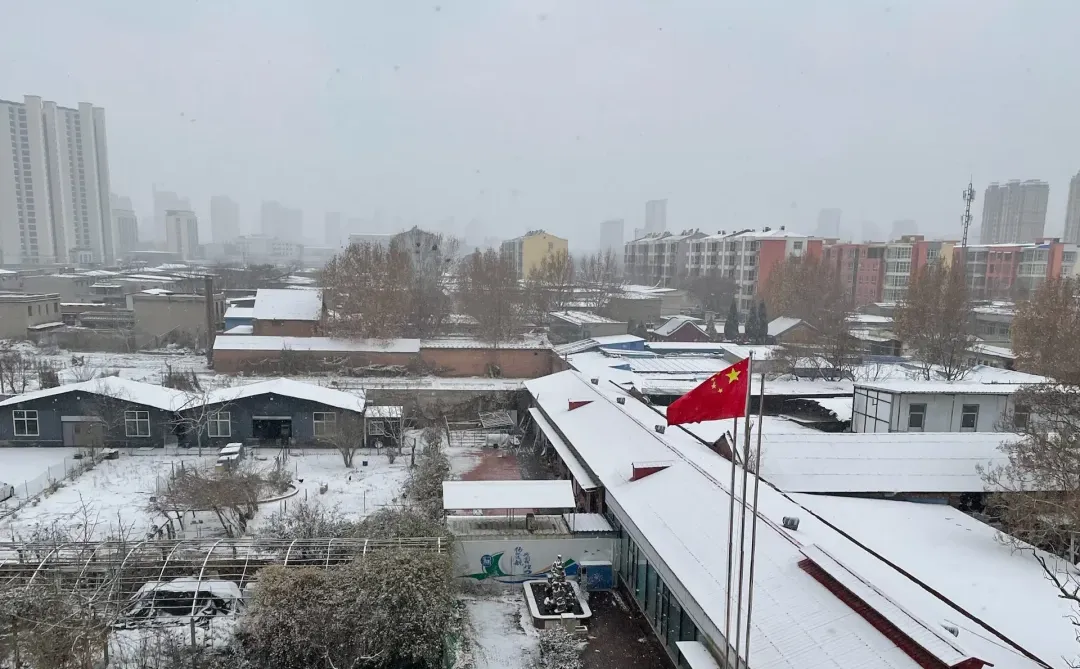 邢台 下雪 工作 在家