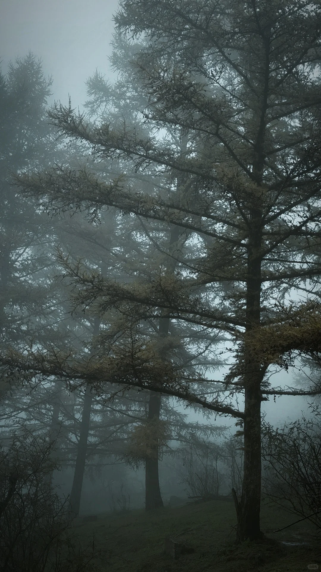 ⛰️邢台周边有自己的哀牢山...