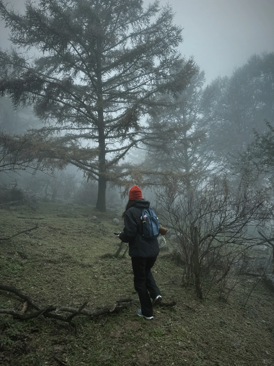 ⛰️邢台周边有自己的哀牢山...