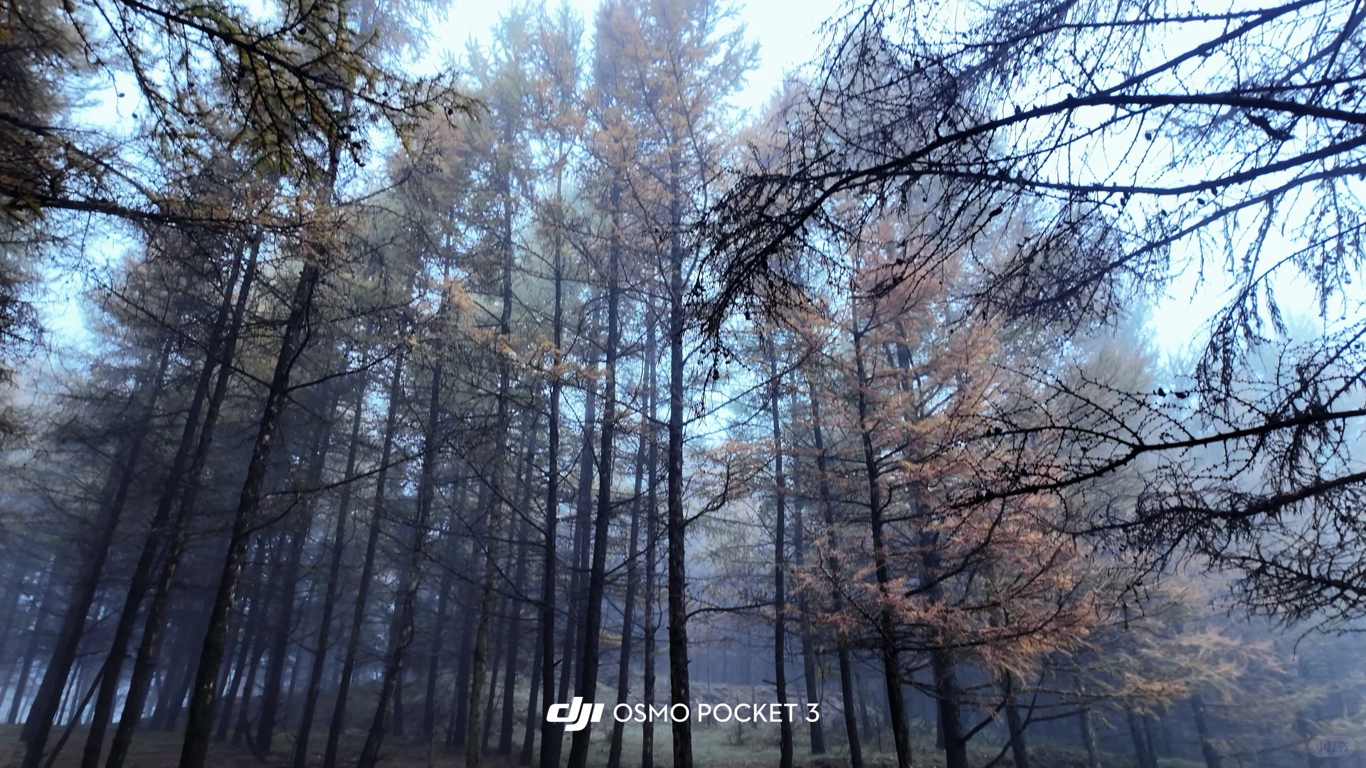 ⛰️邢台周边有自己的哀牢山...