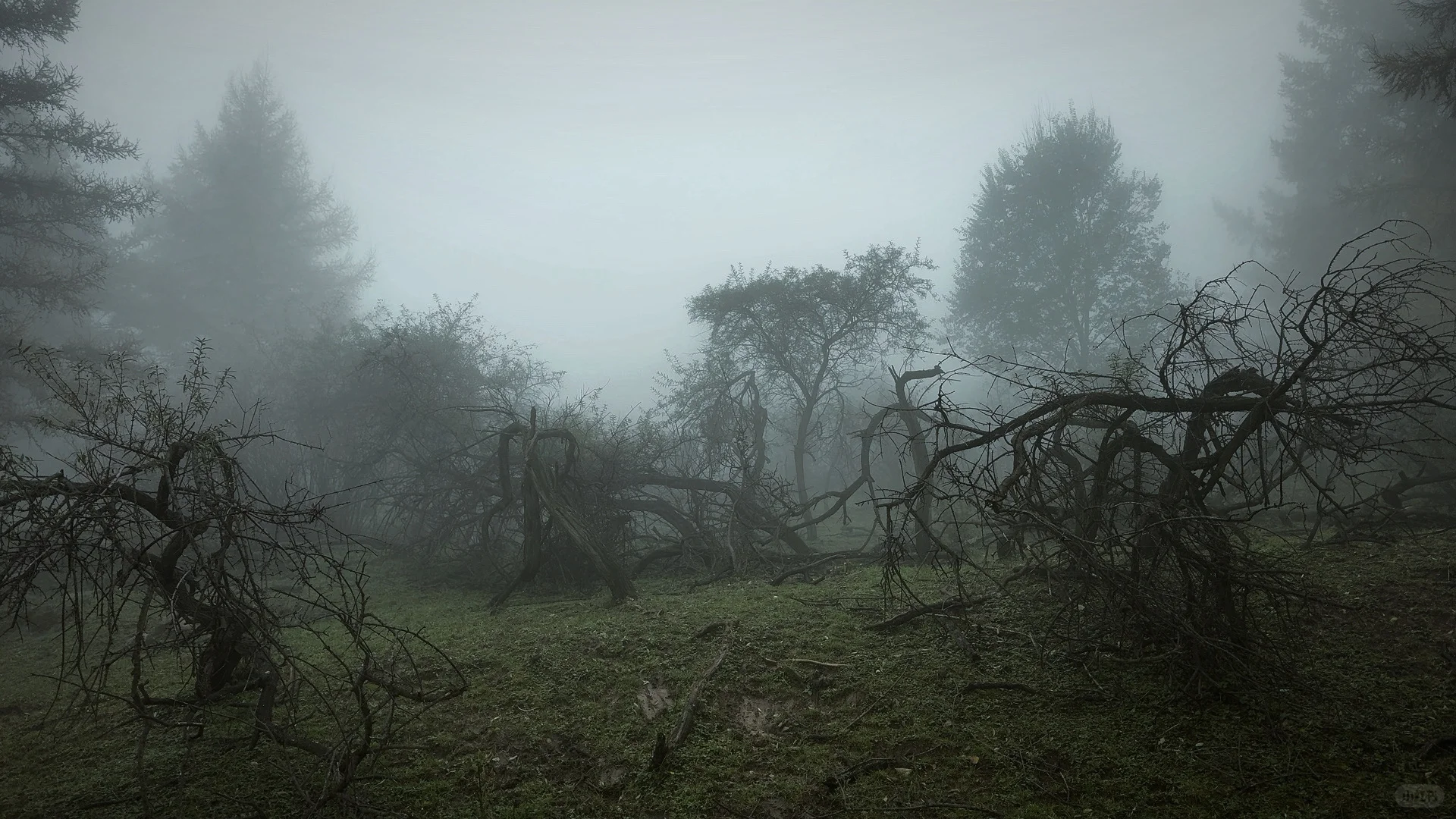 ⛰️邢台周边有自己的哀牢山...