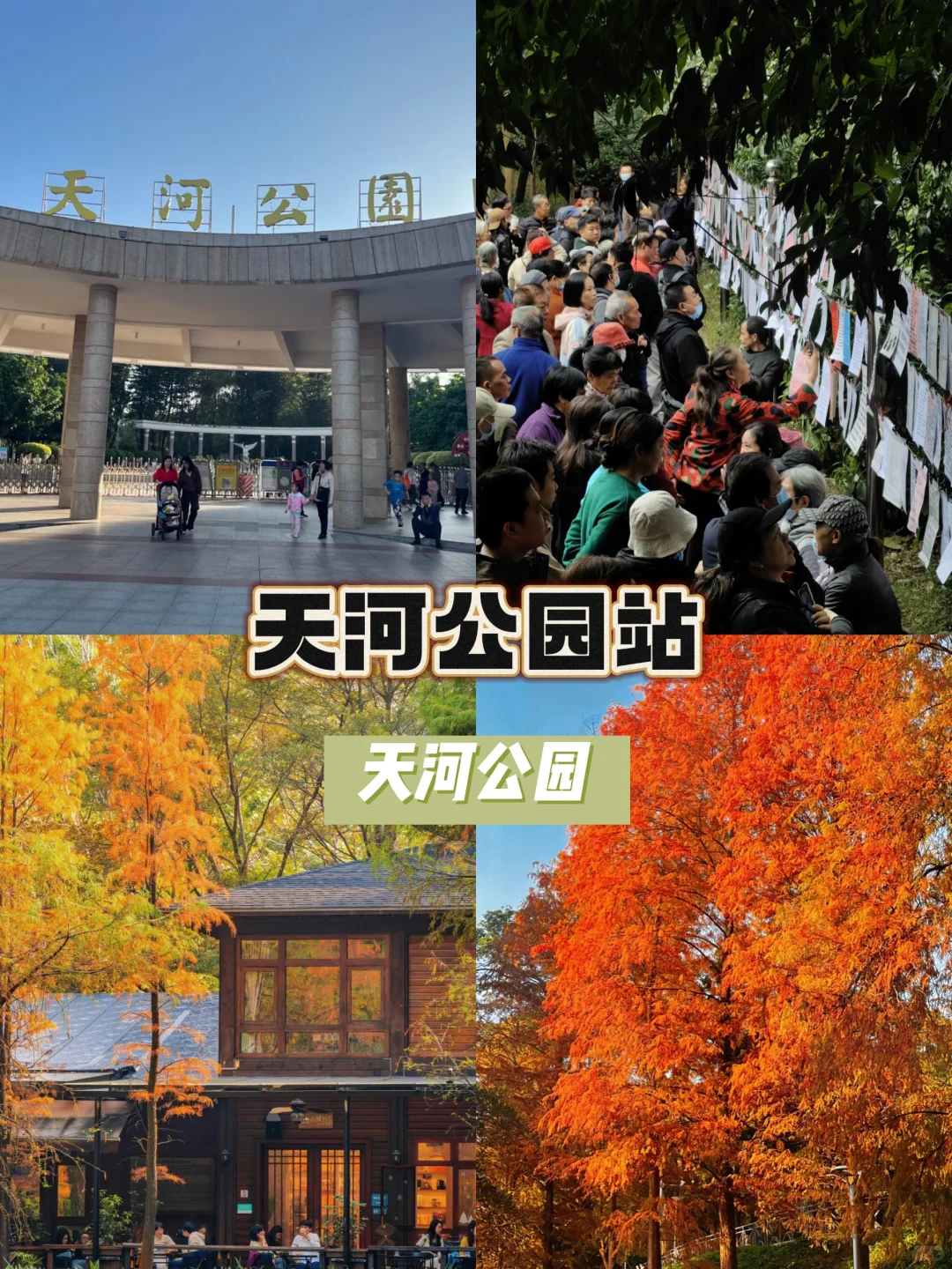 广州地铁11号线沿线宝藏景点大揭秘🎈