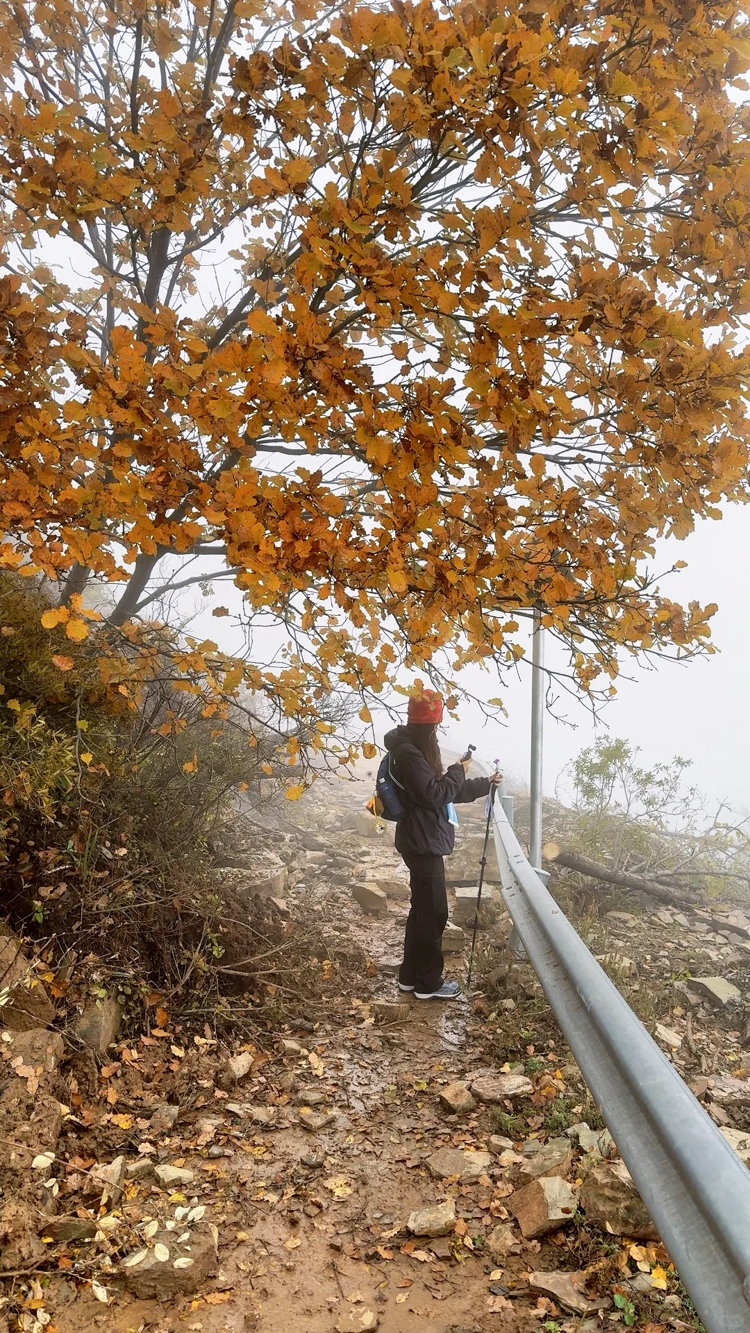 ⛰️邢台周边有自己的哀牢山...