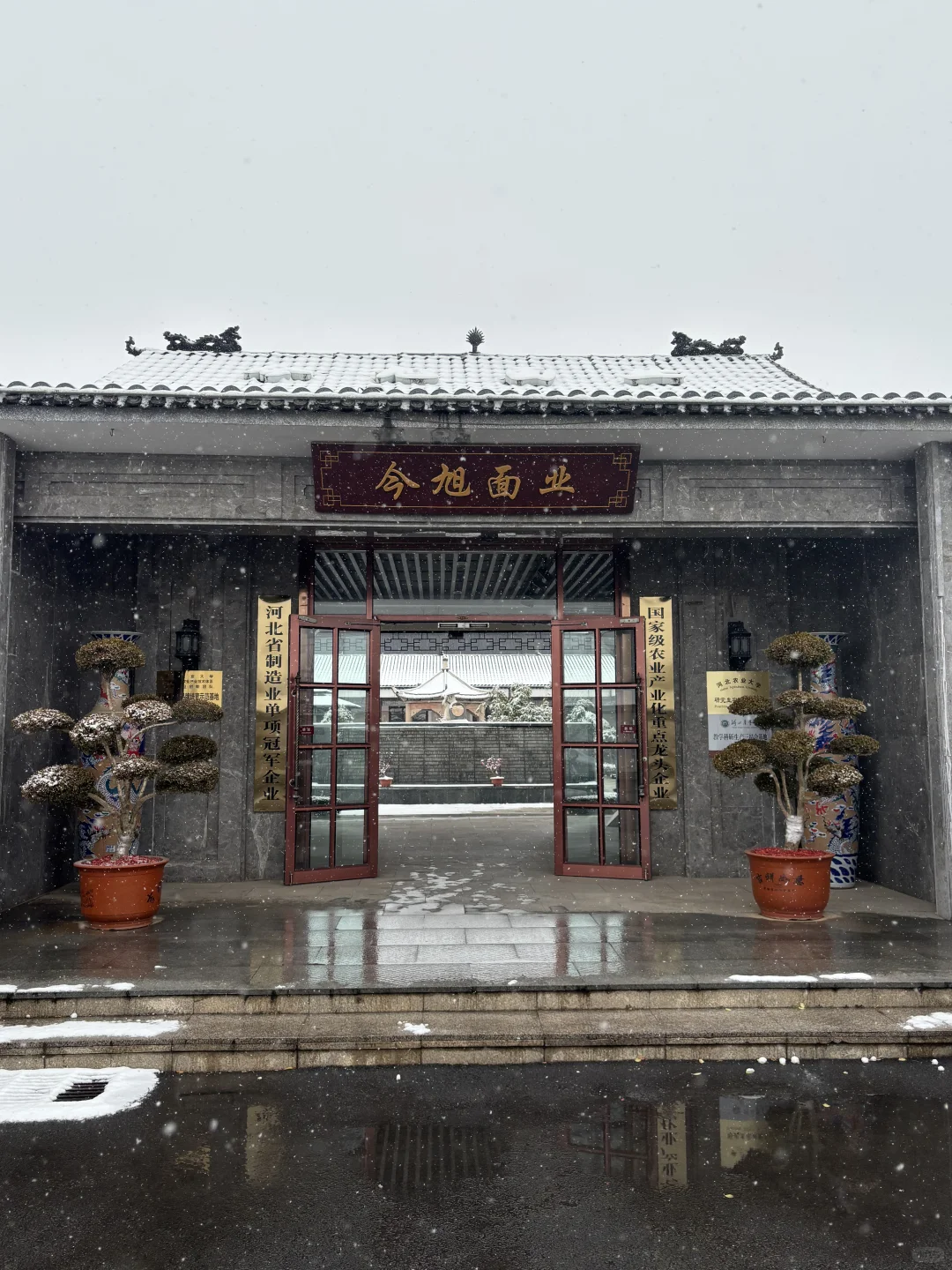 邢台初雪❄️，这一碗暖到心里啦！