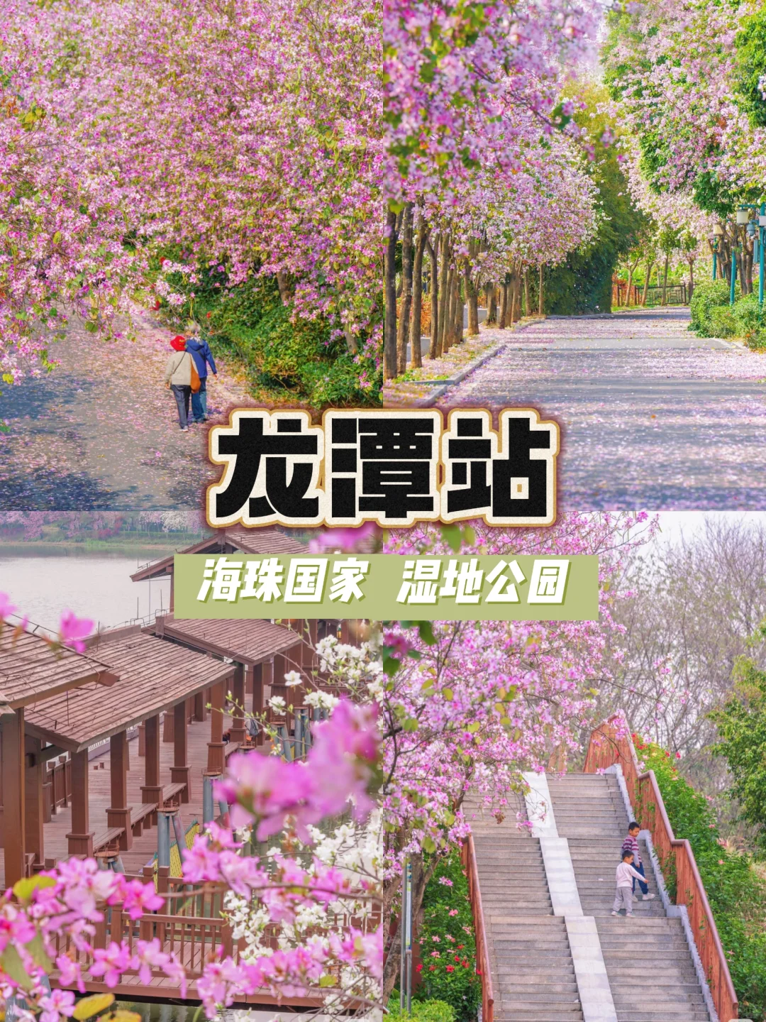 广州地铁11号线沿线宝藏景点大揭秘🎈