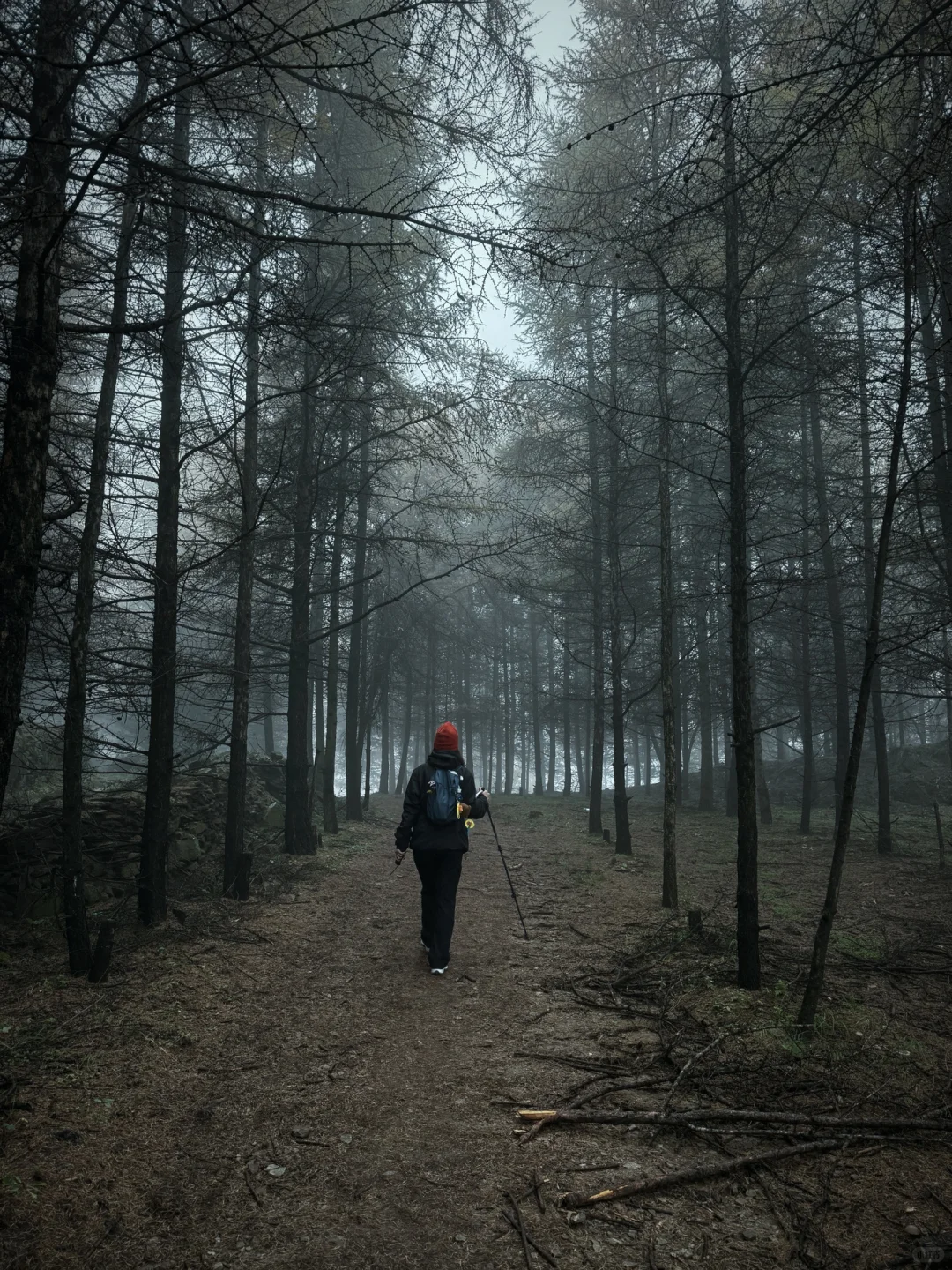 ⛰️邢台周边有自己的哀牢山...