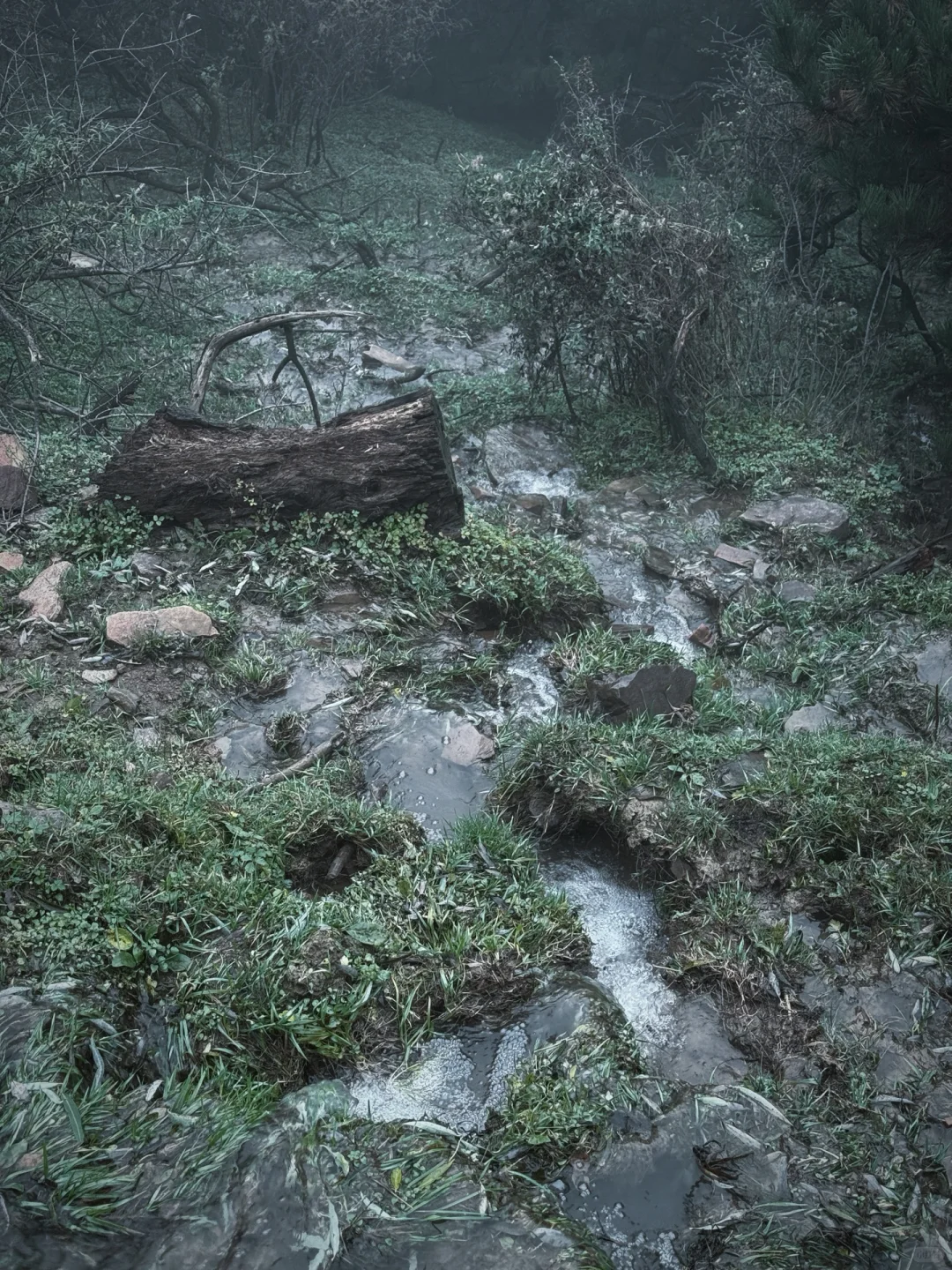 ⛰️邢台周边有自己的哀牢山...
