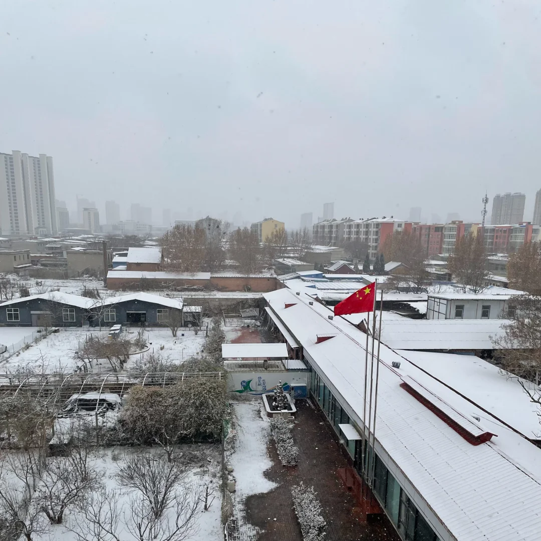 邢台 下雪 工作 在家