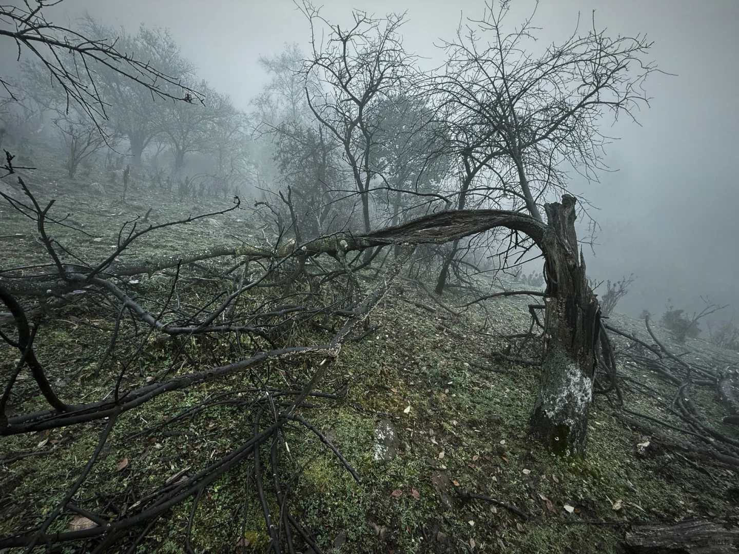 ⛰️邢台周边有自己的哀牢山...
