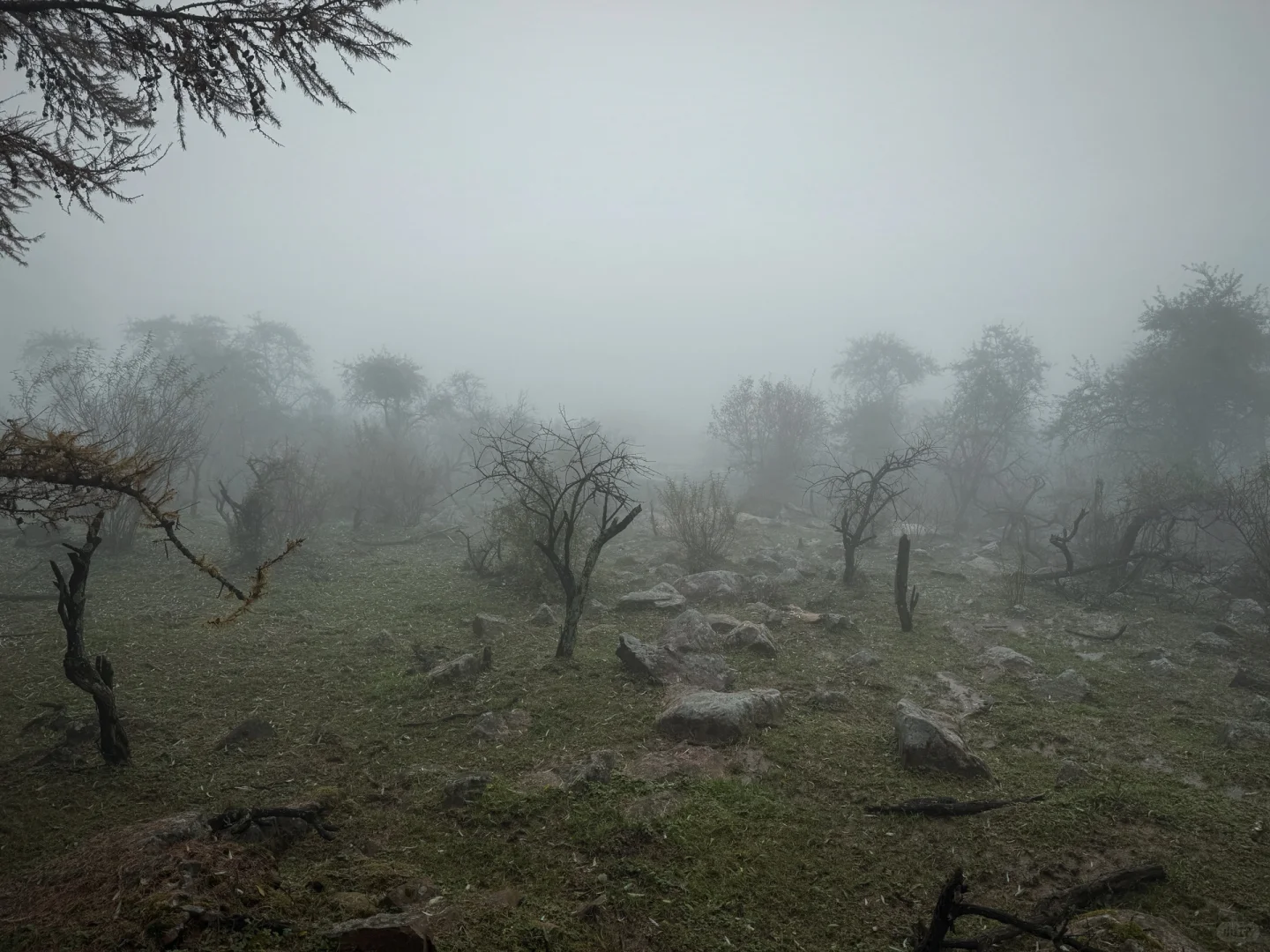 ⛰️邢台周边有自己的哀牢山...