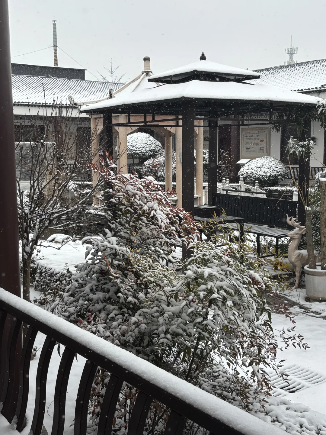 邢台初雪❄️，这一碗暖到心里啦！