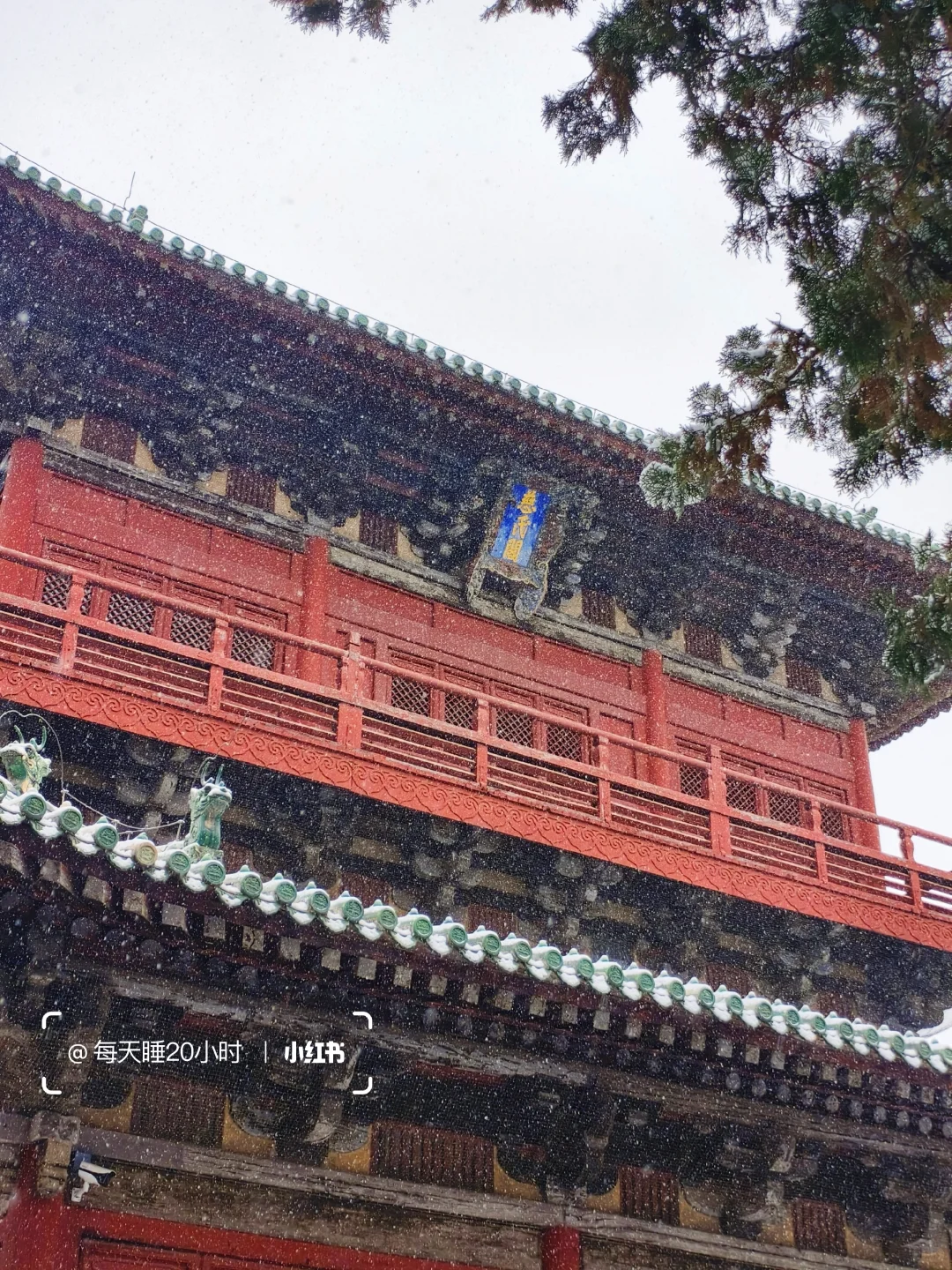 石家庄下雪啦❄️