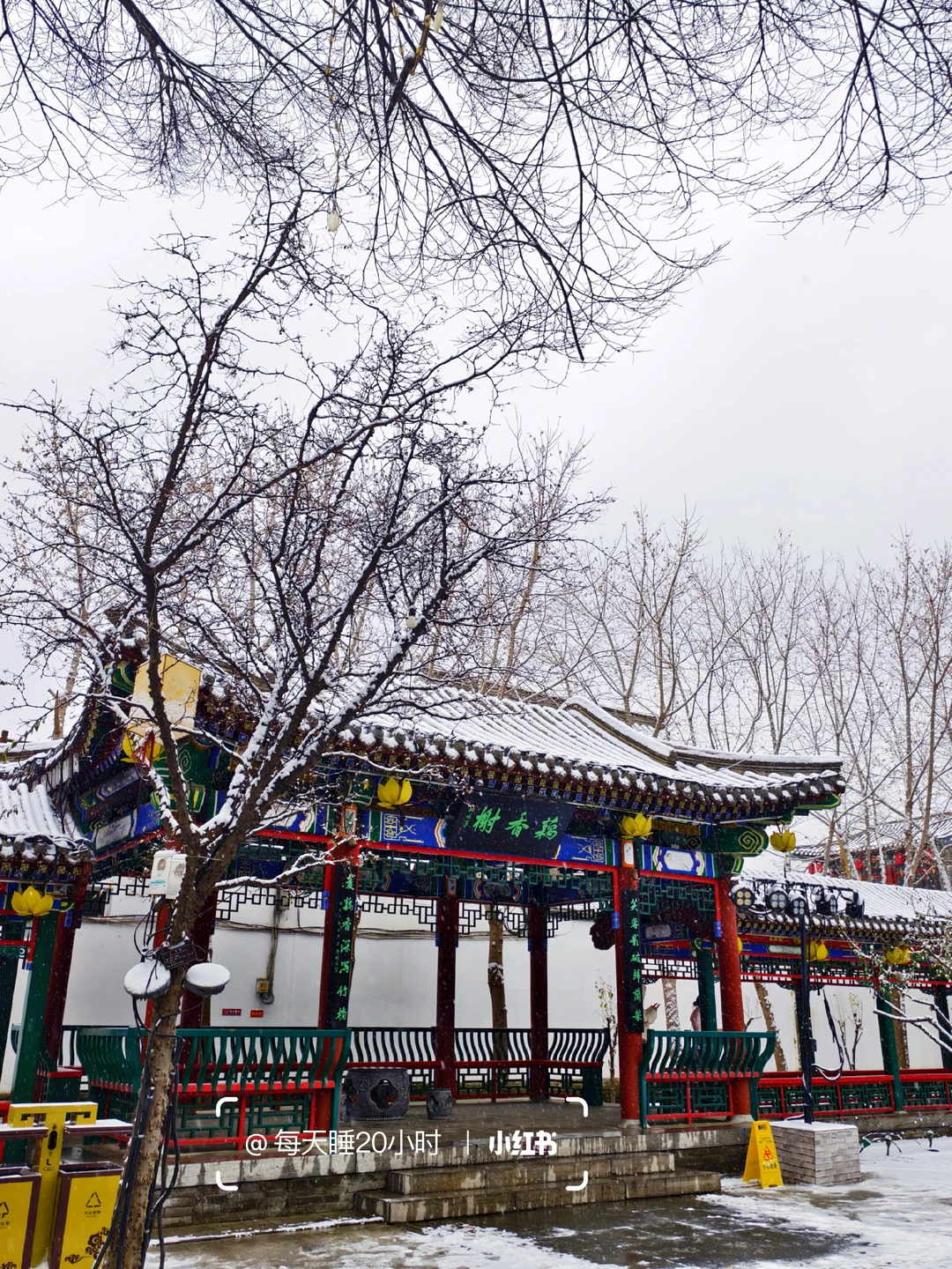 石家庄下雪啦❄️