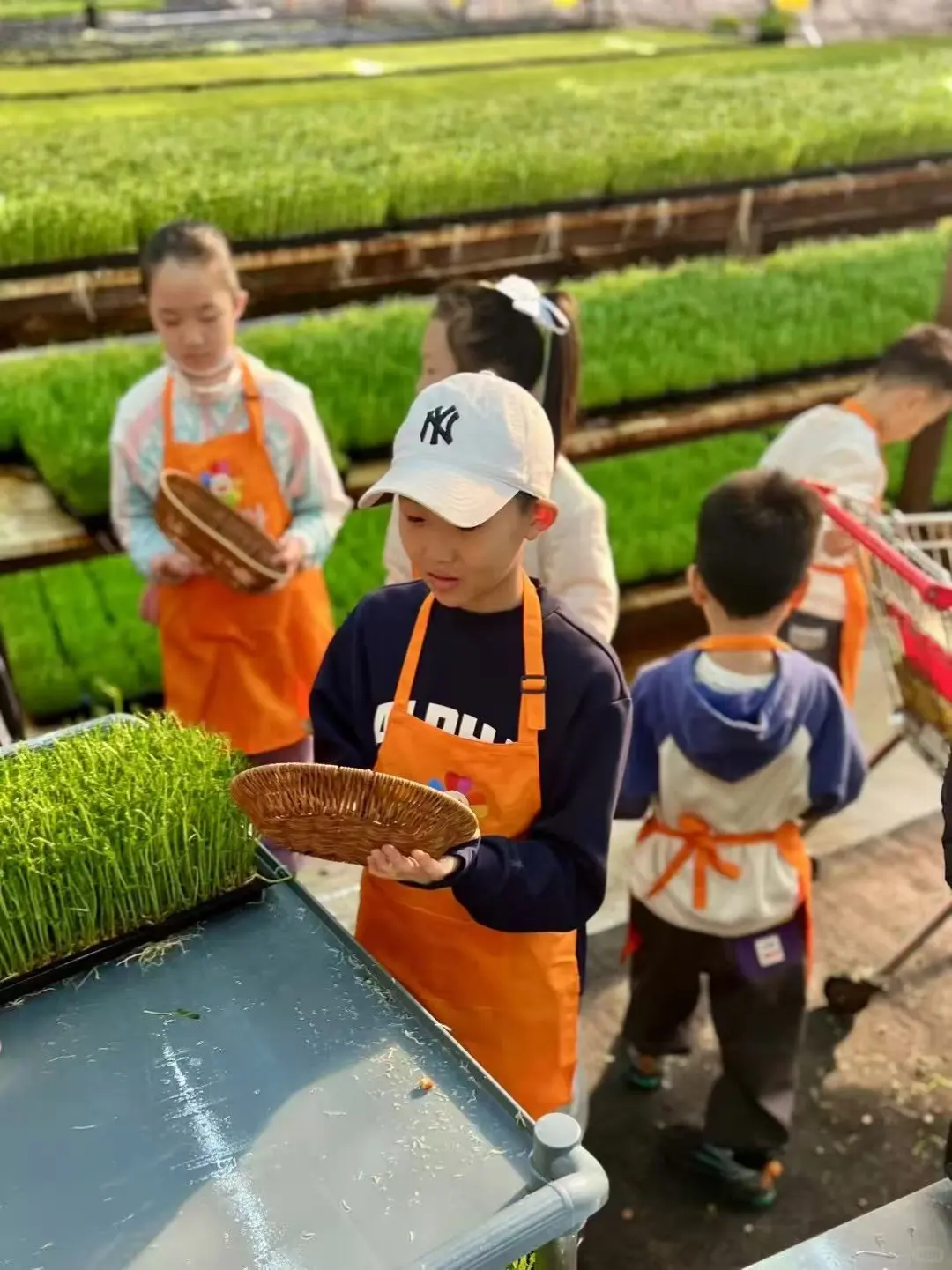 石家庄招募｜布里亚特包子亲子工坊，亲子双