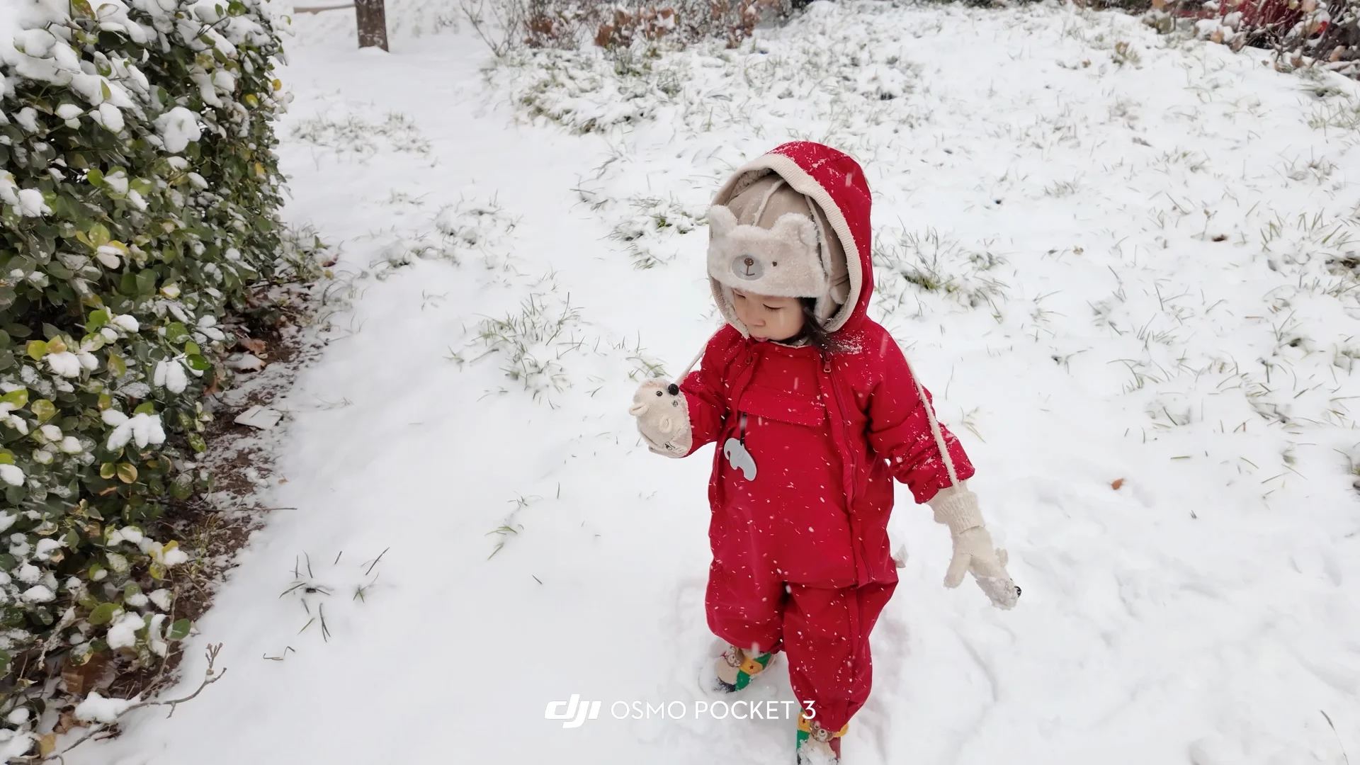 石家庄下雪啦 雪橇没白买