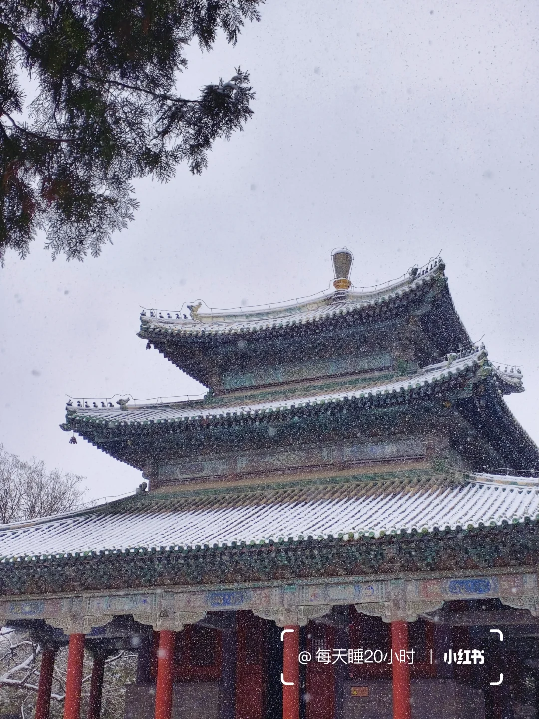 石家庄下雪啦❄️