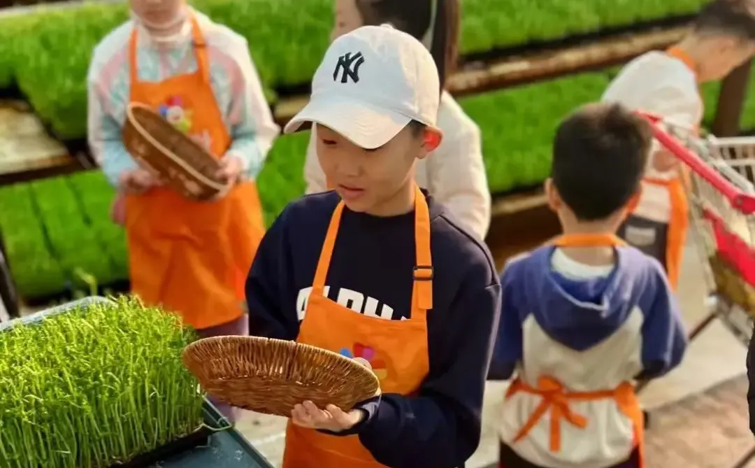 石家庄招募｜布里亚特包子亲子工坊，亲子双