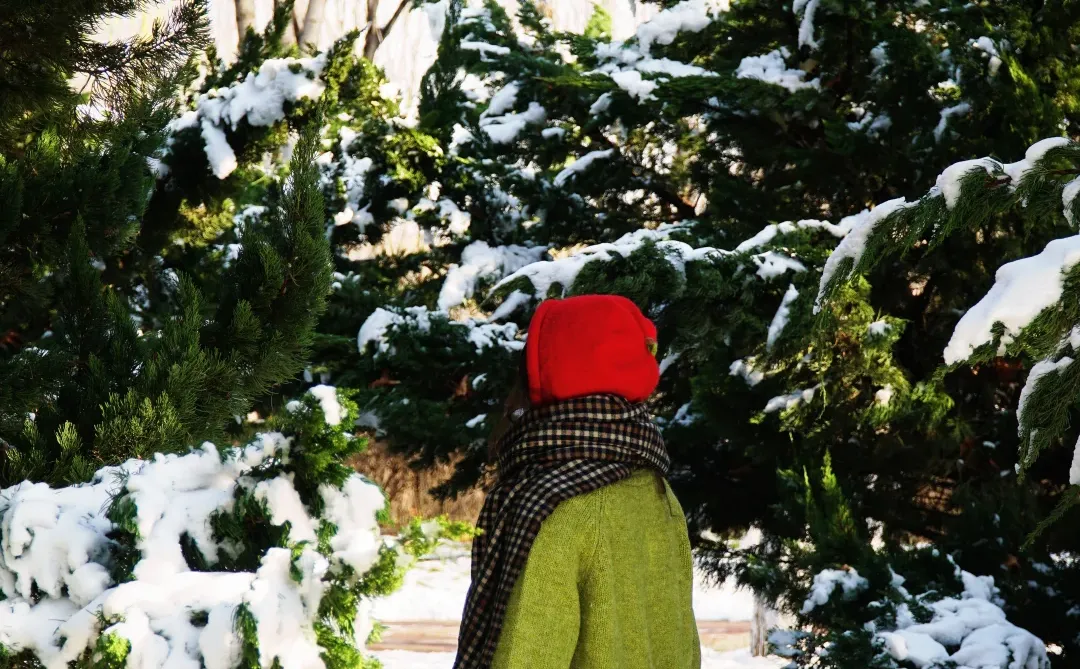 石家庄|庄里有自己的小樽