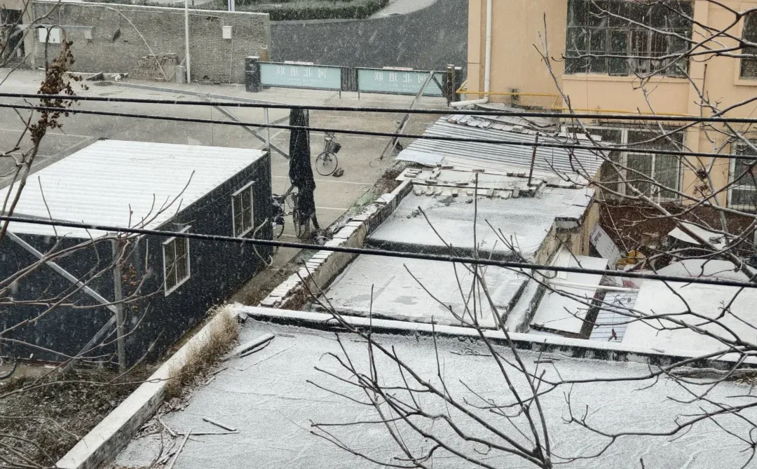 想看看大家拍到石家庄的雪景