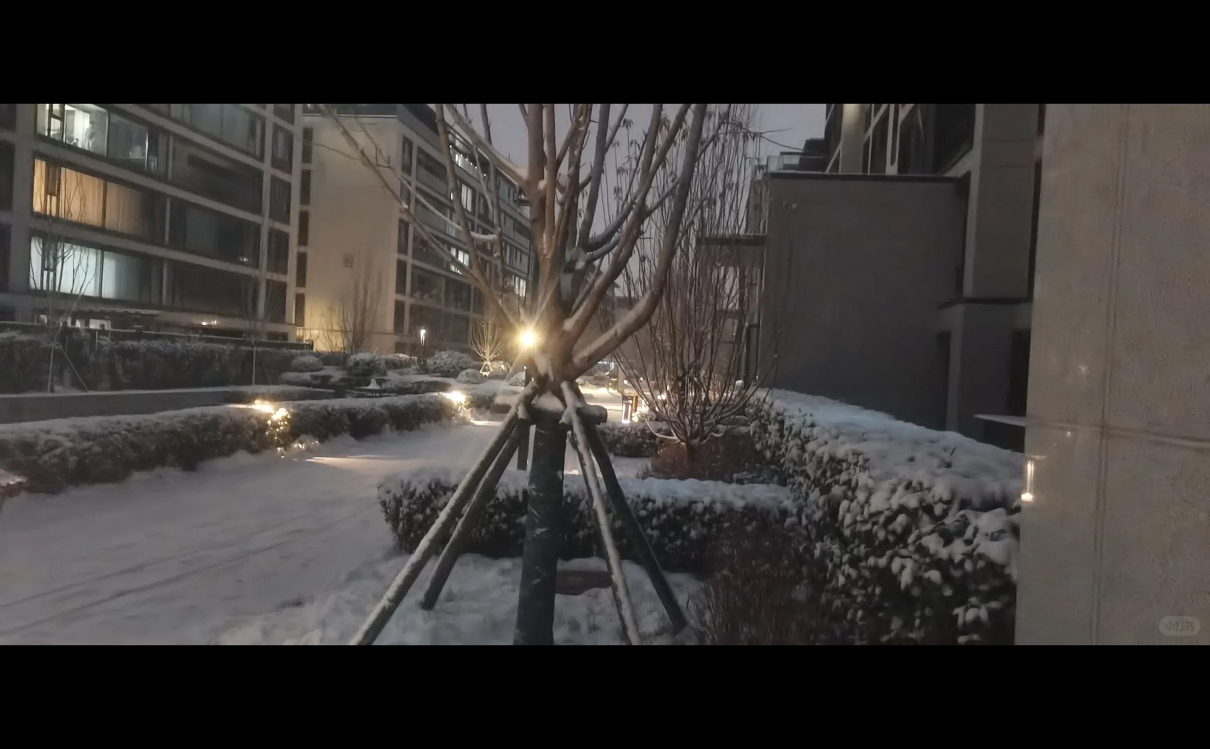 石家庄，你终于下雪了✌︎˶╹ꇴ╹˶✌︎