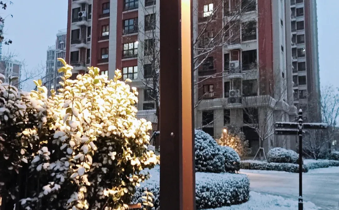 初雪❄️的石家庄