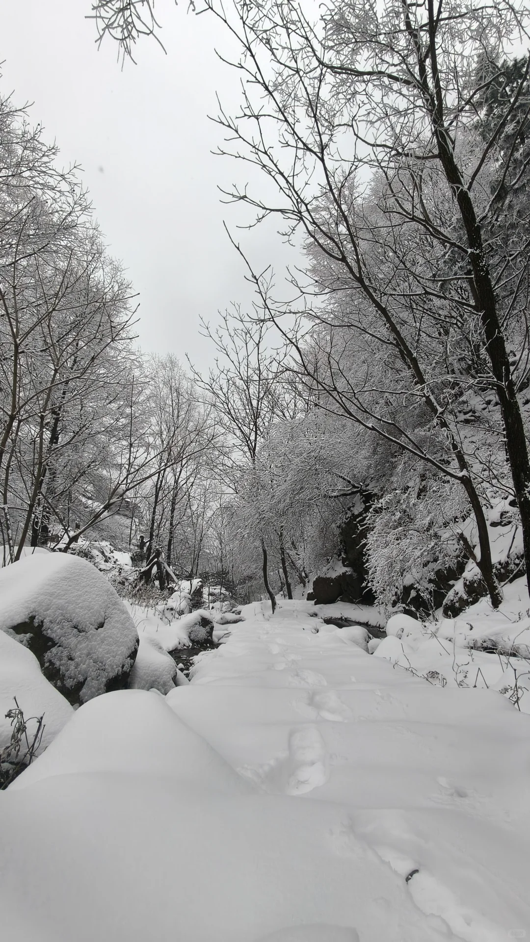 石家庄的雪如约而至