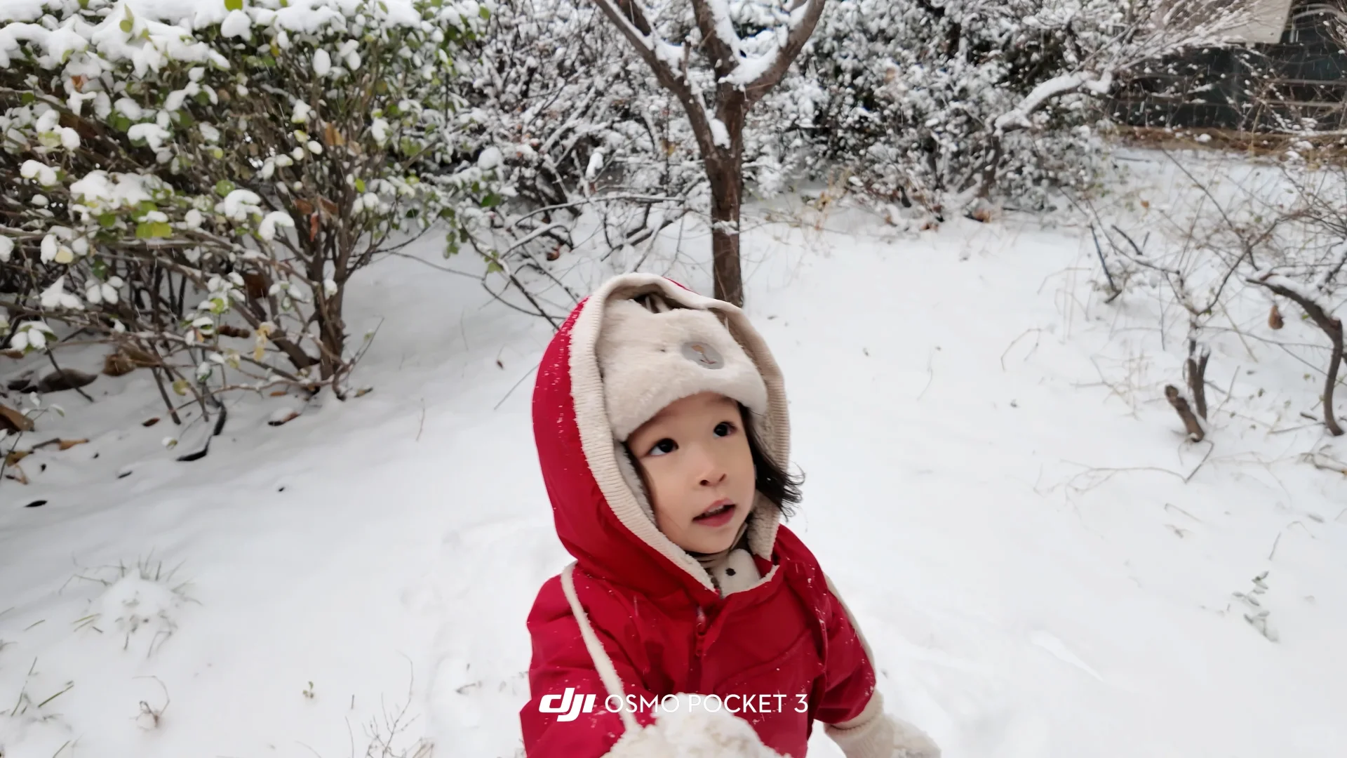 石家庄下雪啦 雪橇没白买