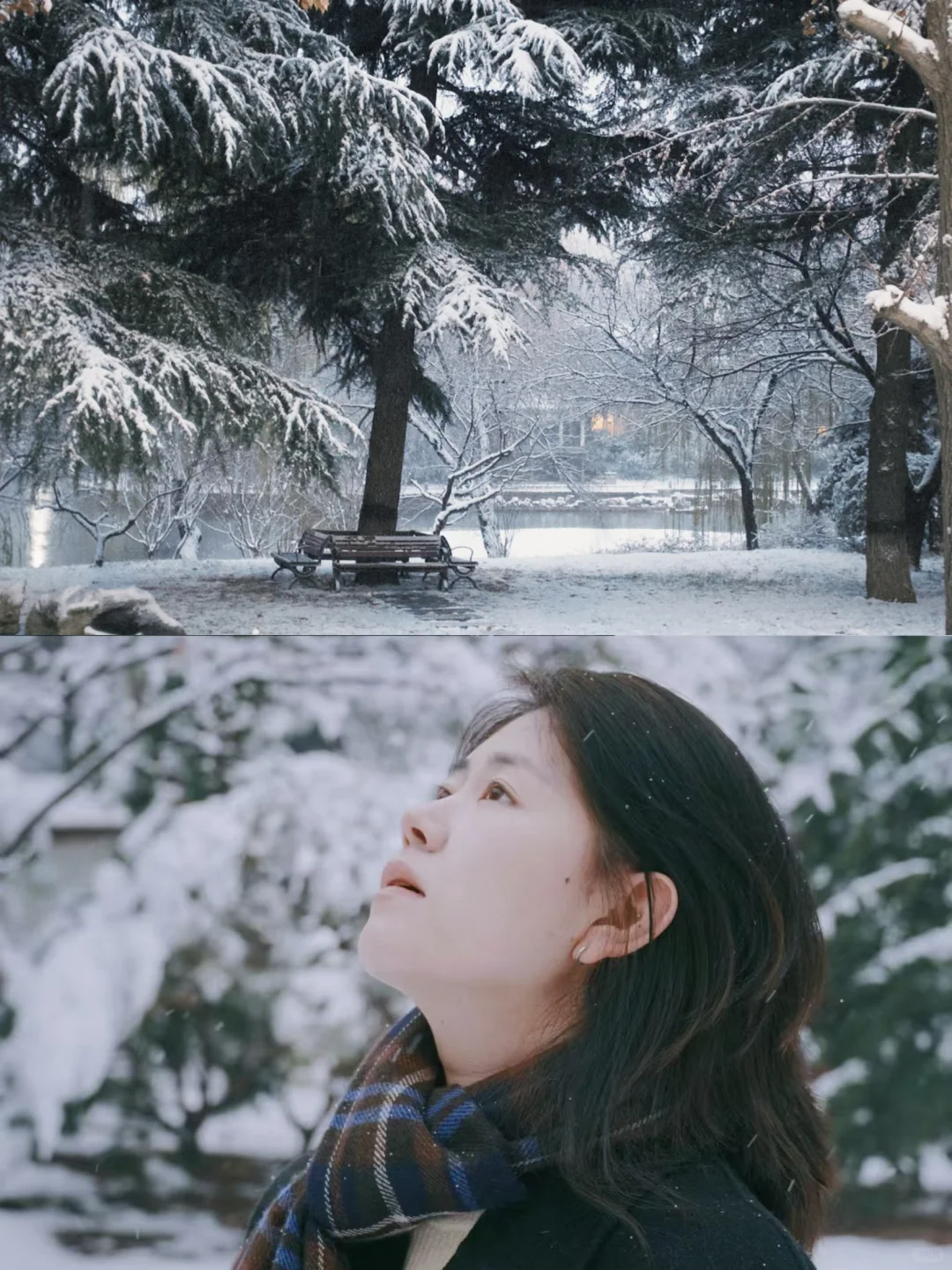 12.12实况 ｜石家庄下雪了