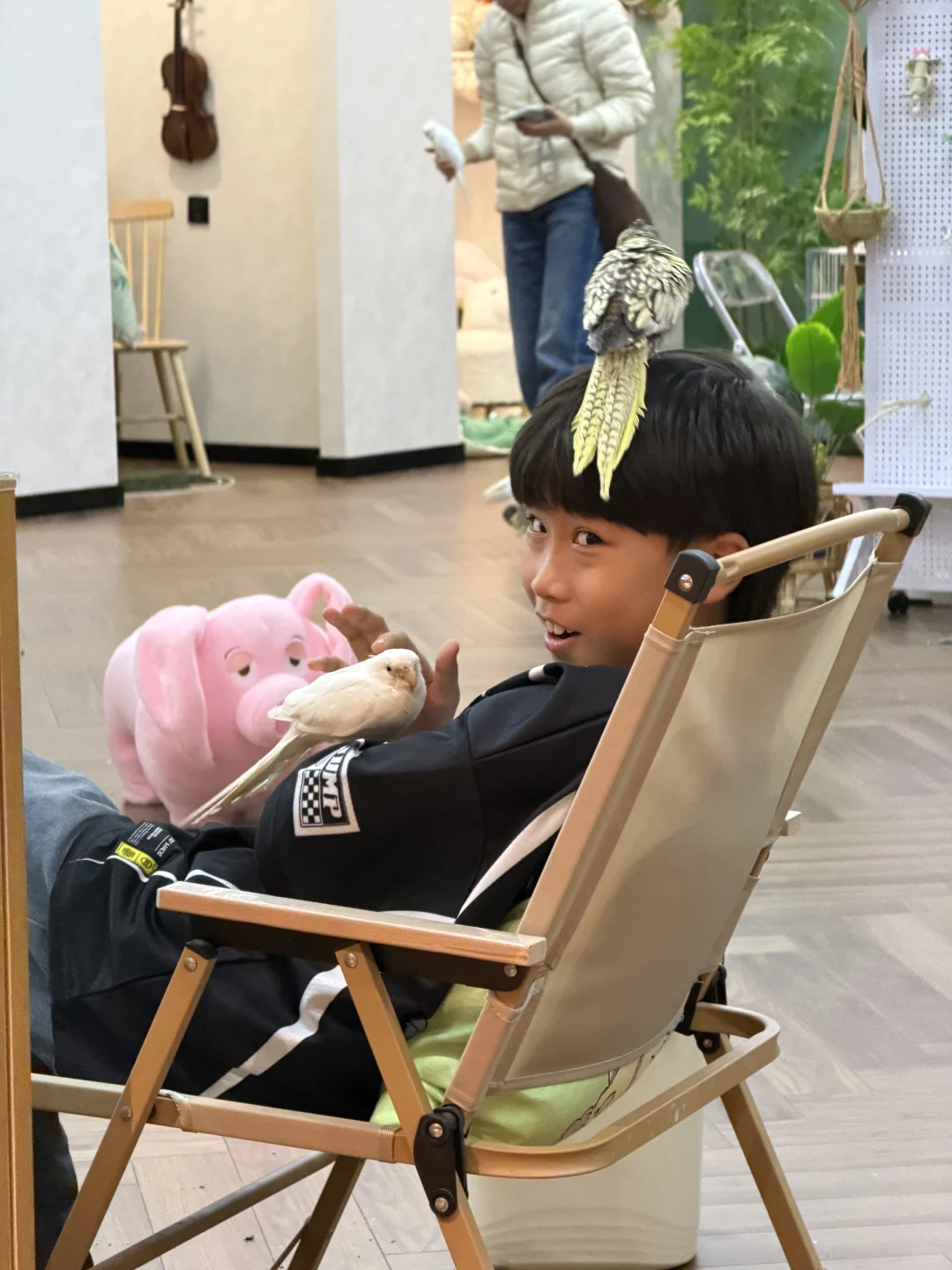 终于找到石家庄可以撸鸟的地方啦！