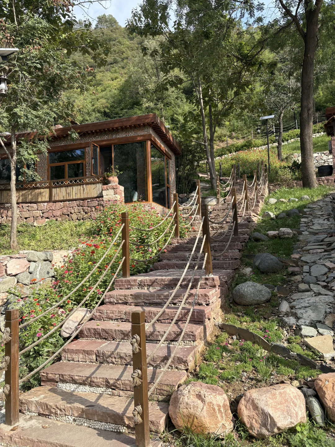 在石家庄 有猫有狗的民宿🐶🐱