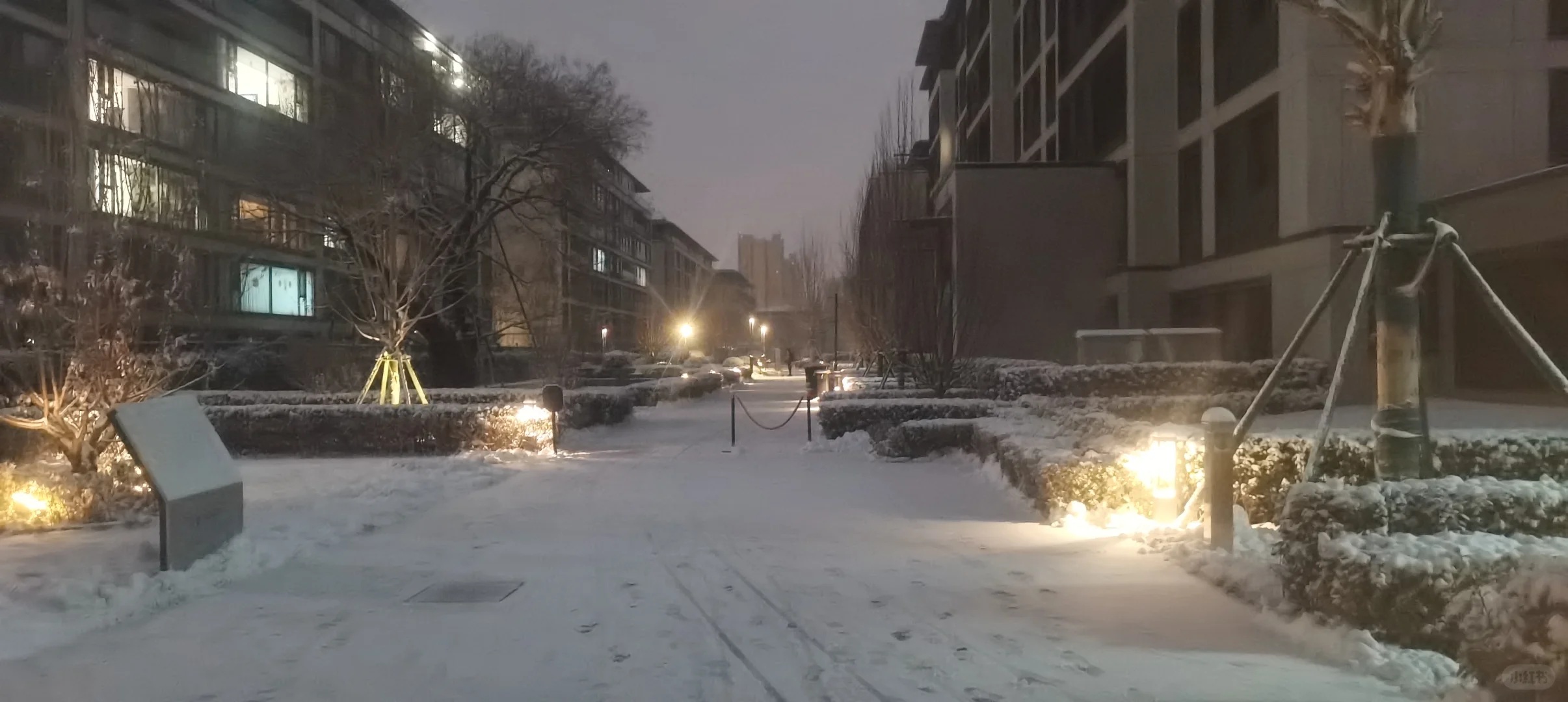 石家庄，你终于下雪了✌︎˶╹ꇴ╹˶✌︎