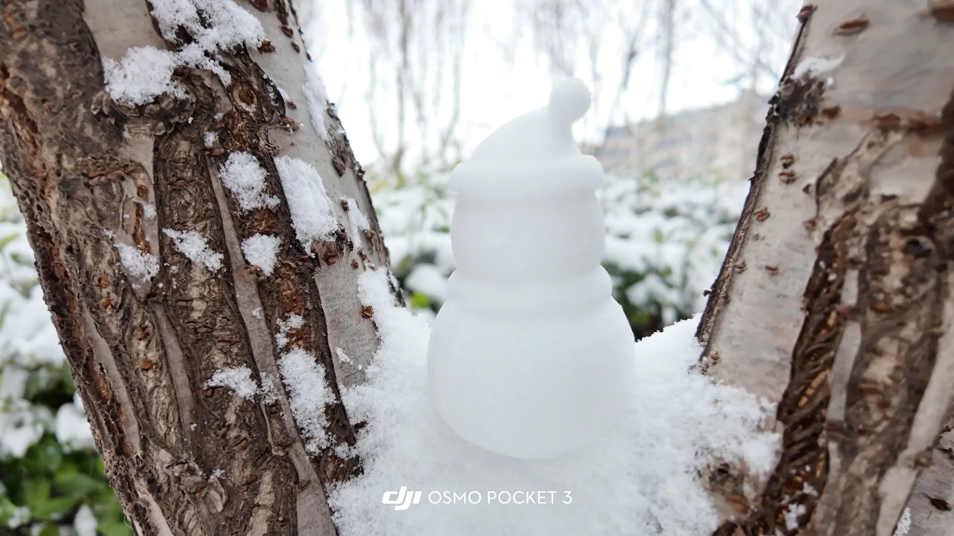 石家庄下雪啦 雪橇没白买