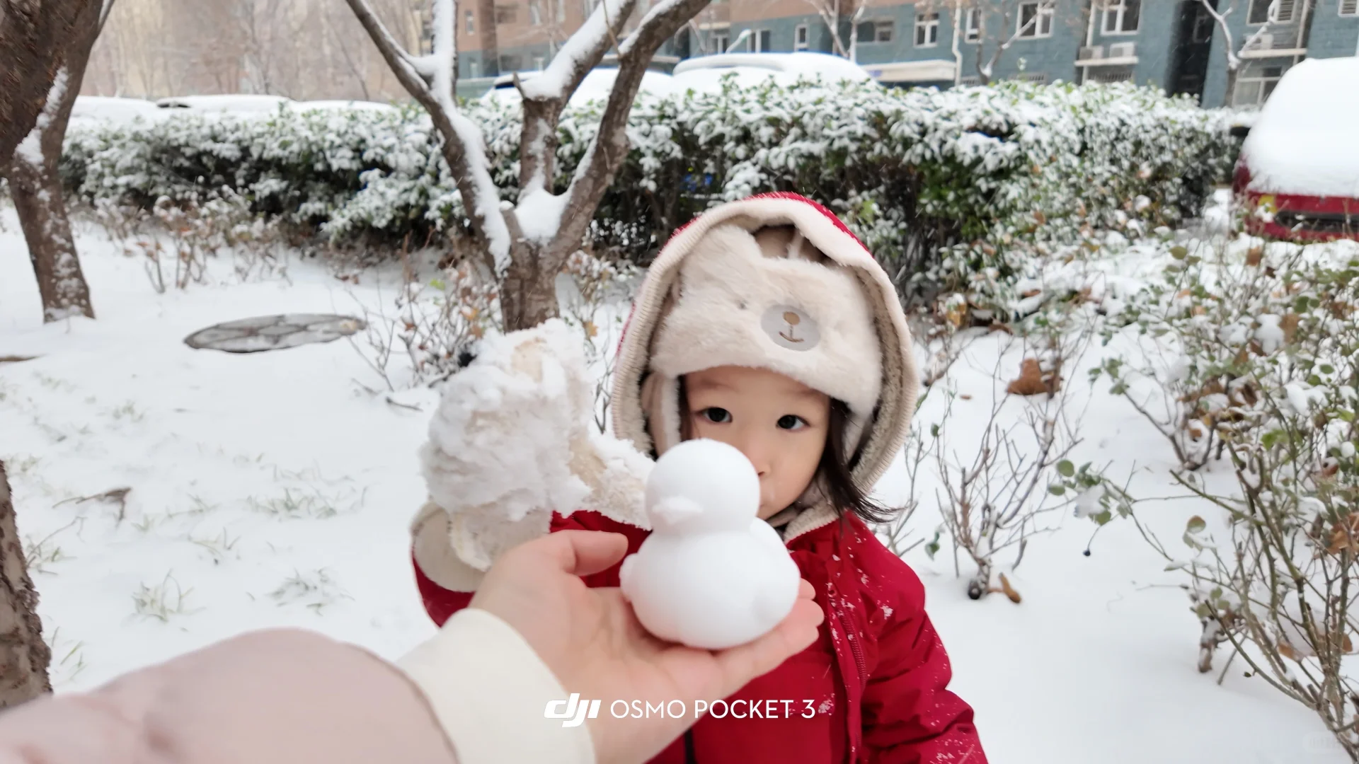 石家庄下雪啦 雪橇没白买