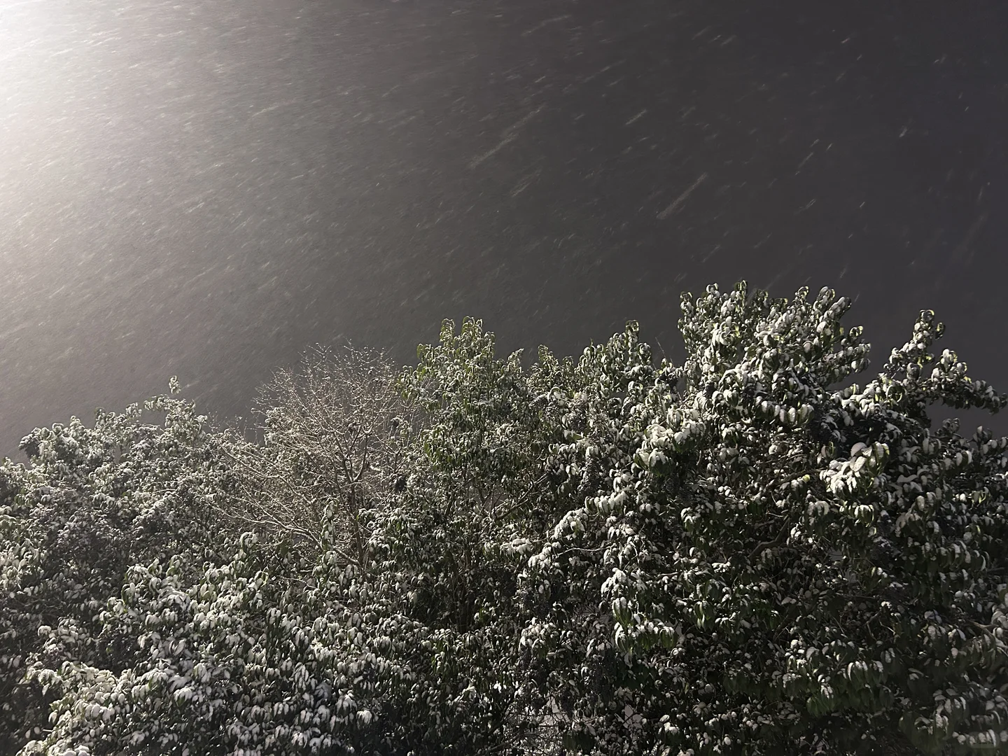 记录一下吧，第一场雪❄️