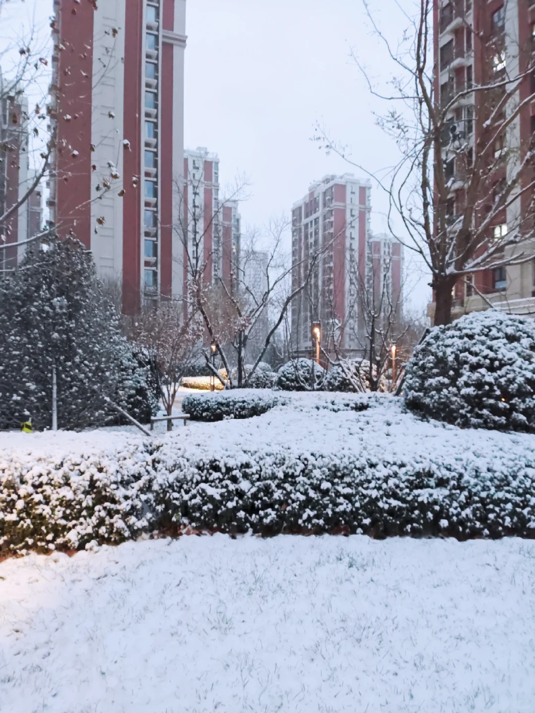 初雪❄️的石家庄
