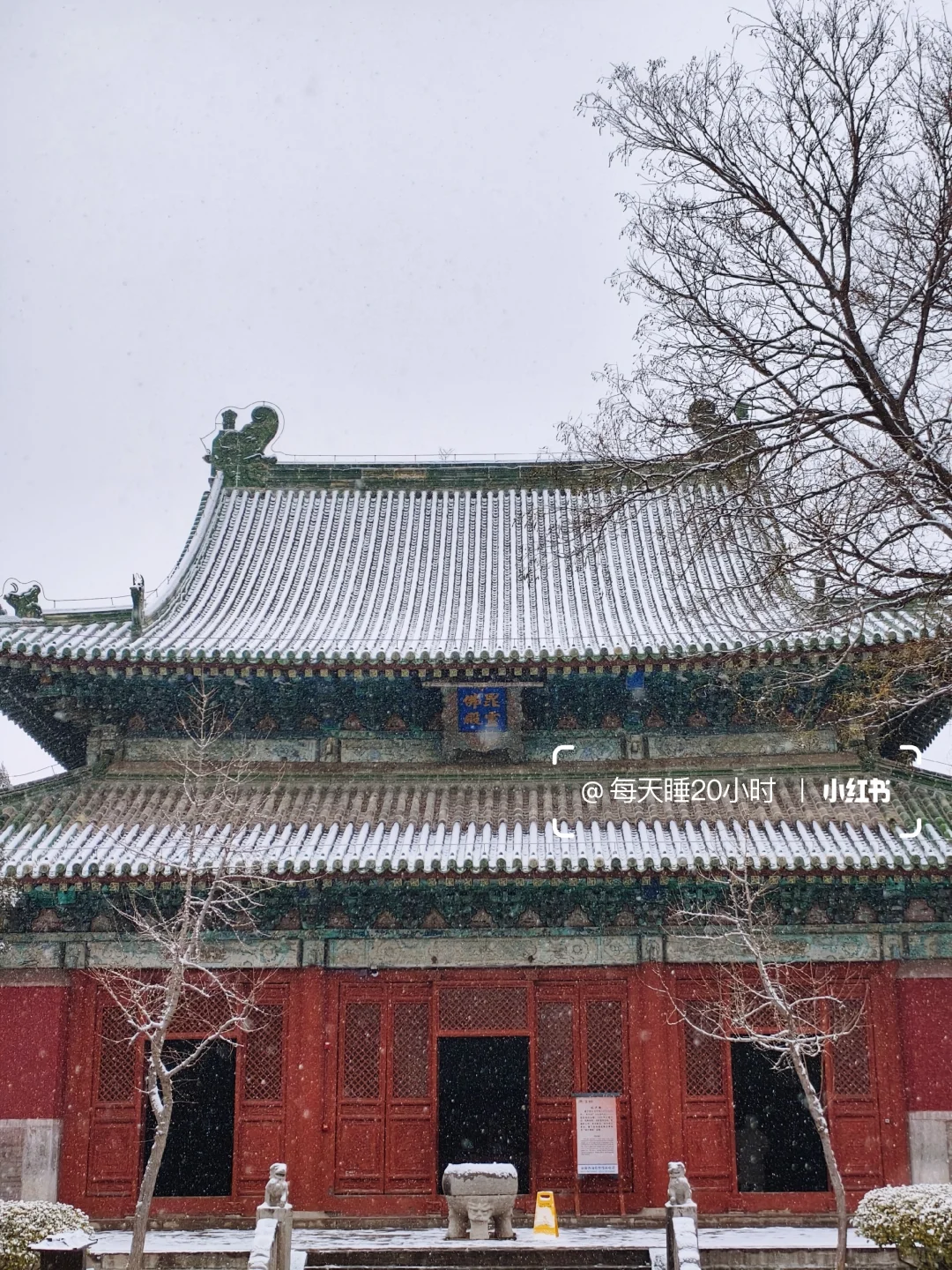 石家庄下雪啦❄️