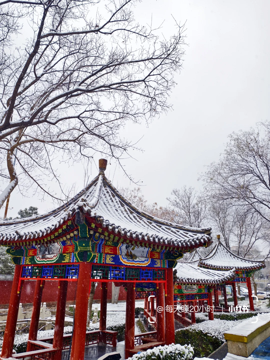 石家庄下雪啦❄️