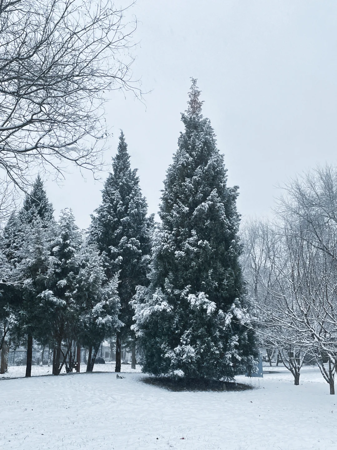 12.12实况 ｜石家庄下雪了