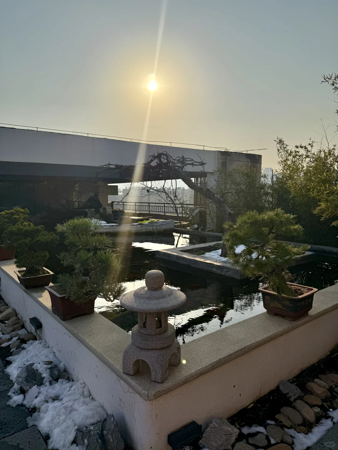 （石家庄）把生日过成江南园林诗🍂