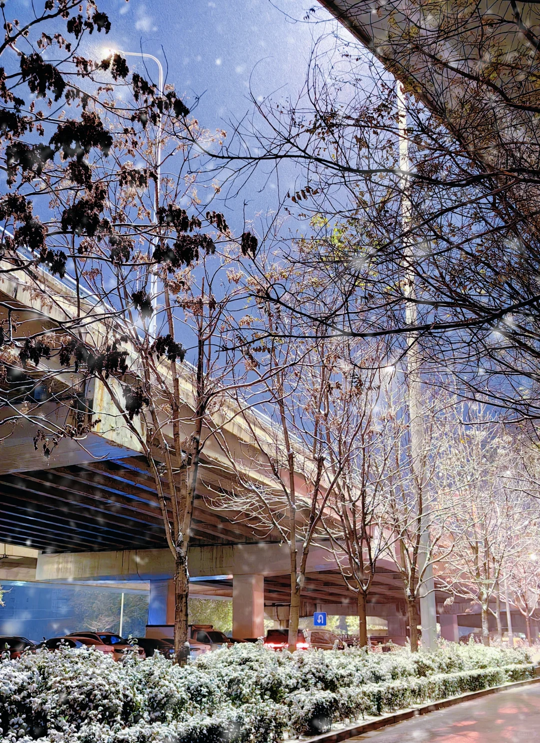 石家庄2025年末的雪