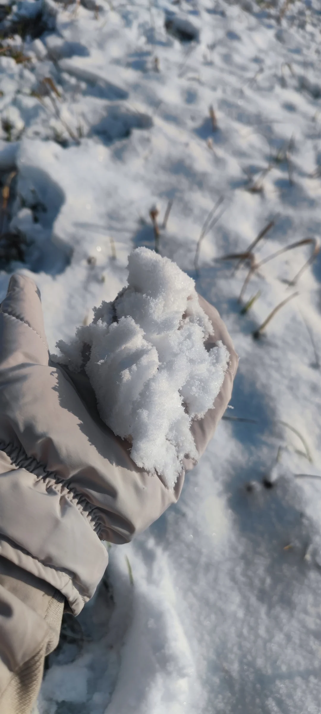 石家庄今年的第一场雪