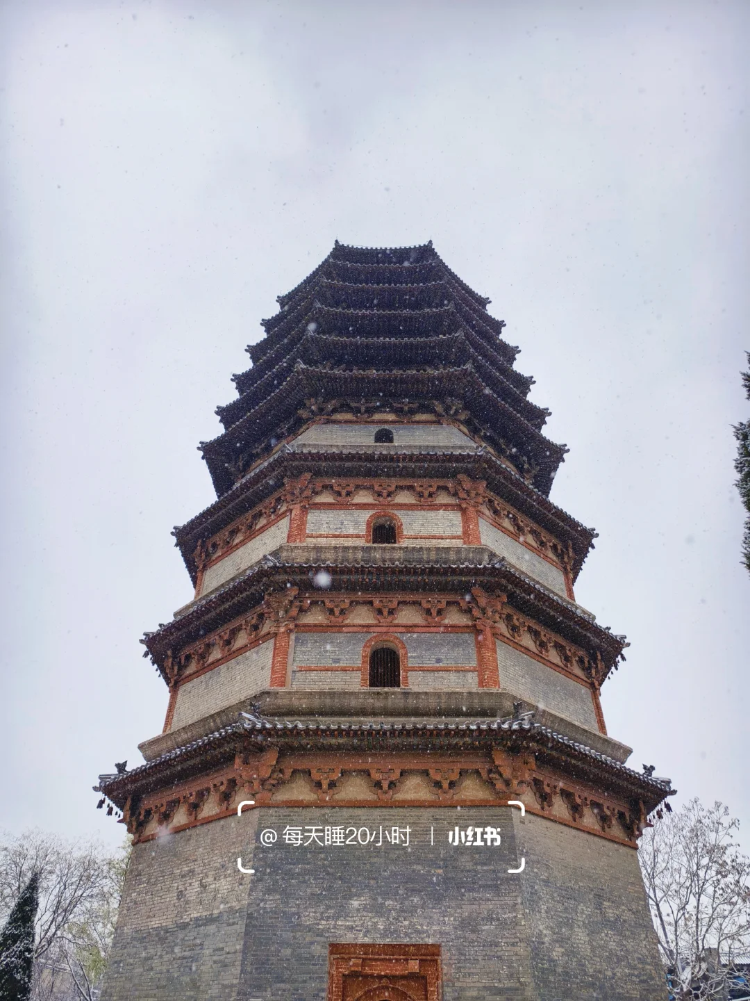 石家庄下雪啦❄️