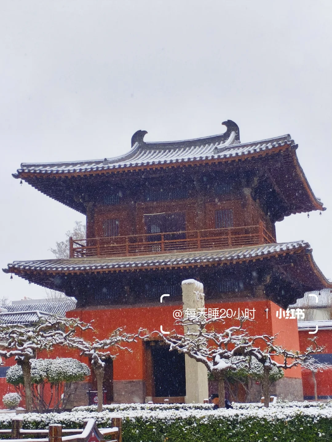 石家庄下雪啦❄️